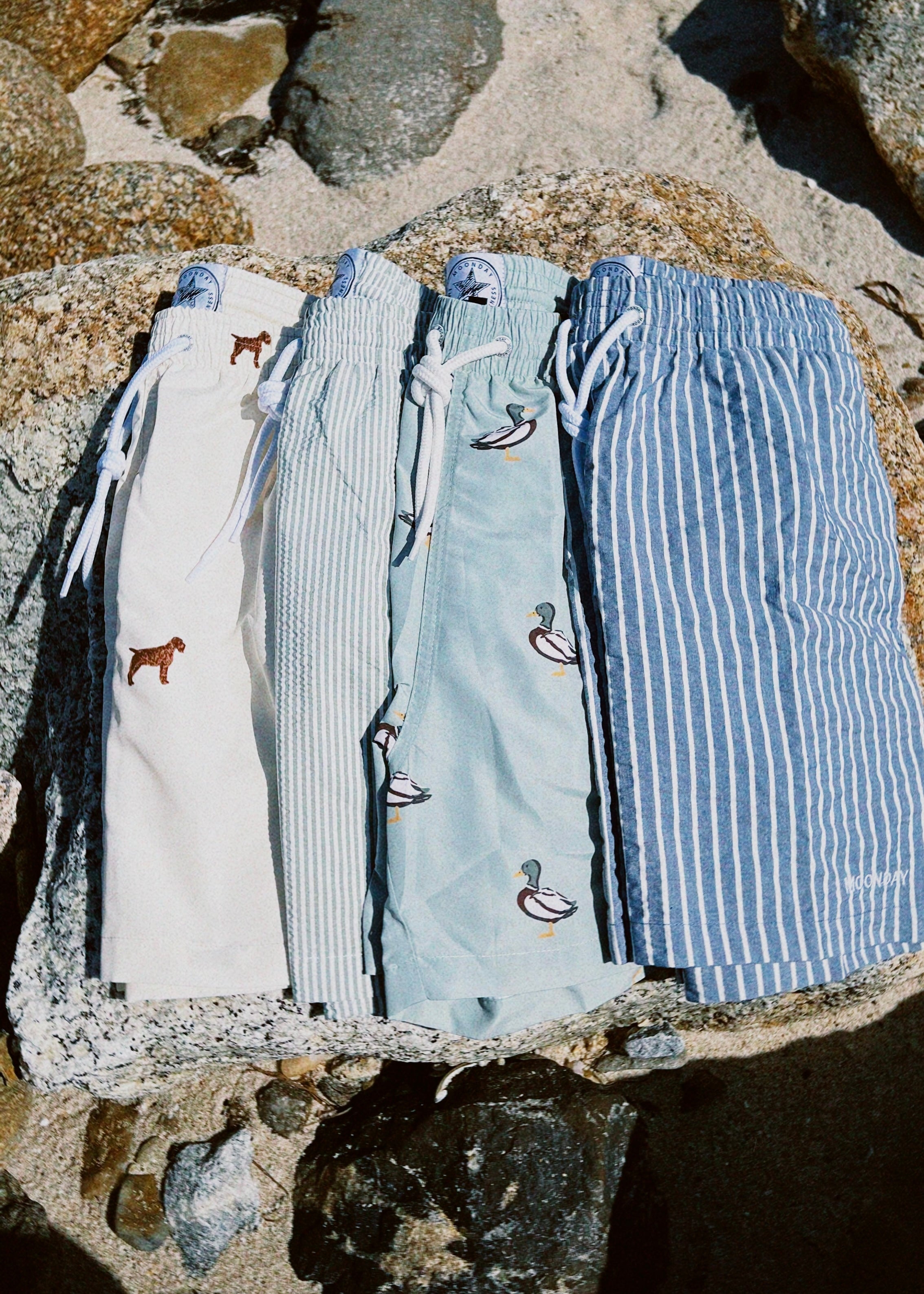 Blue Basic
