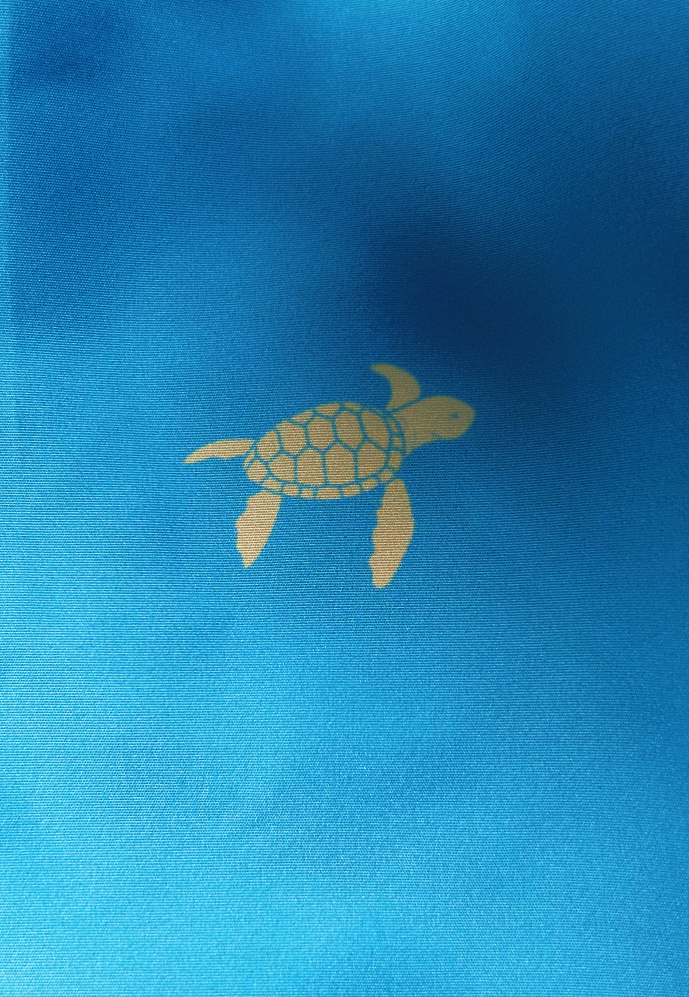 Turtles kids