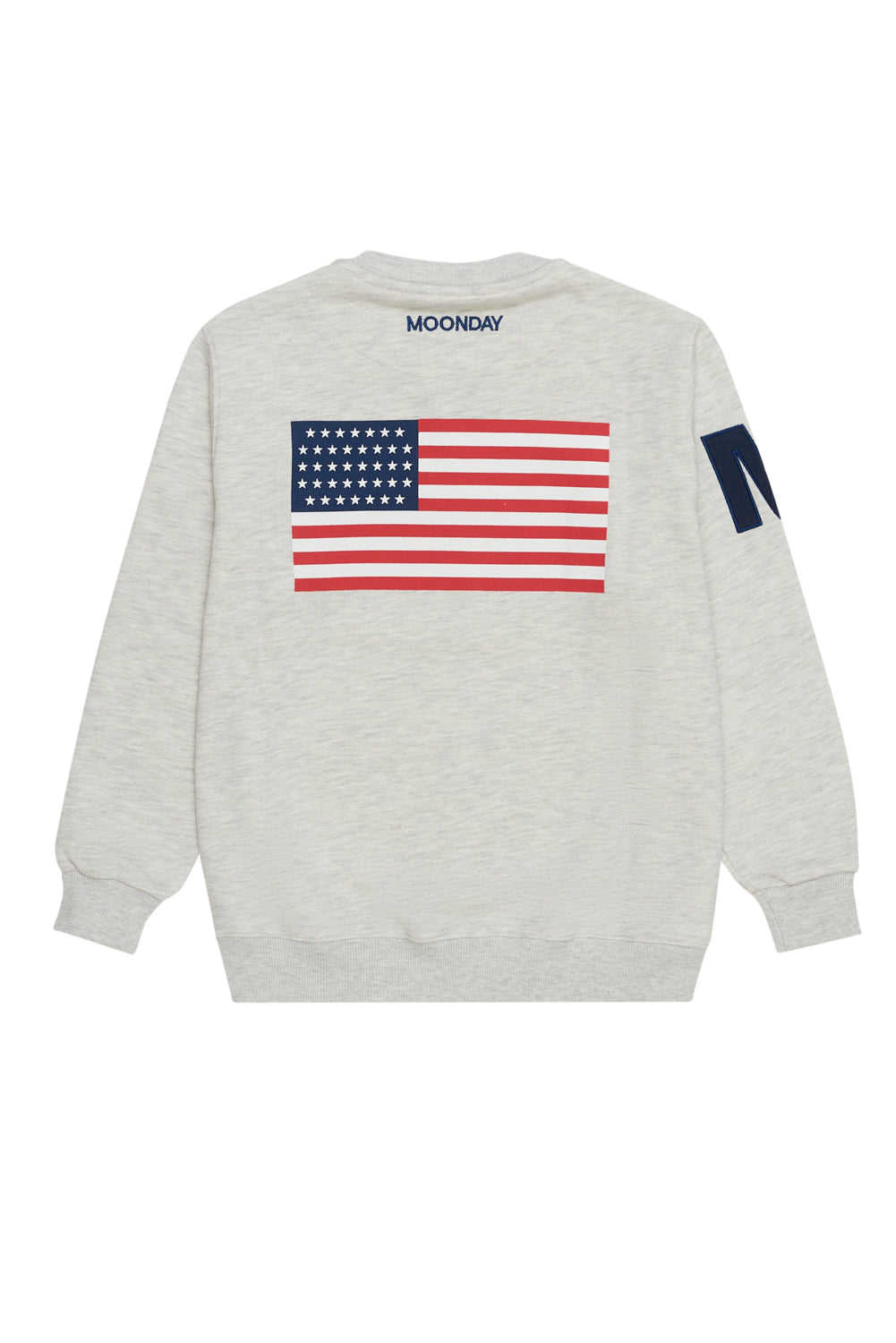 Champion sweater 2024 us zara